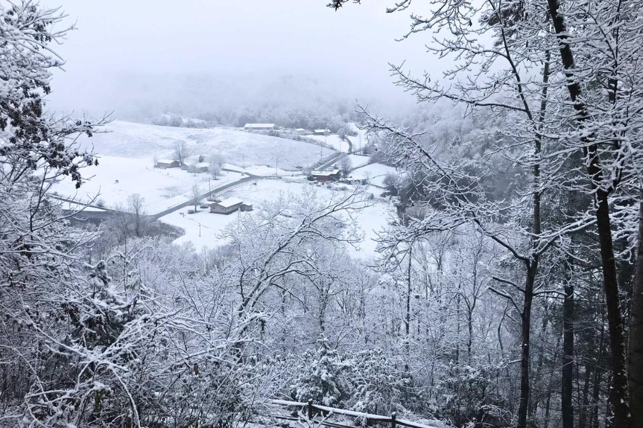 Pigeon Forge Scenic Solitude With Private Hot Tub! المظهر الخارجي الصورة